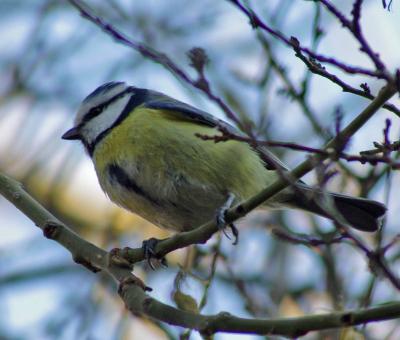 Прикрепленное изображение: 005.jpg